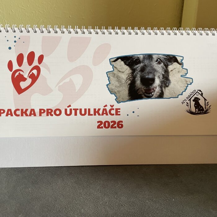 Stolní kalendář 2026